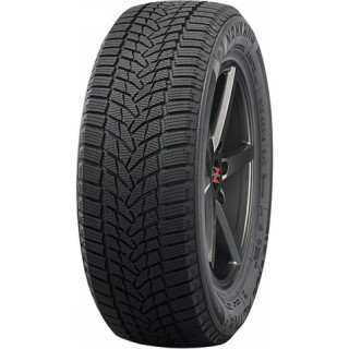 225/55R18 NANKANG ICE-2 102T XL   