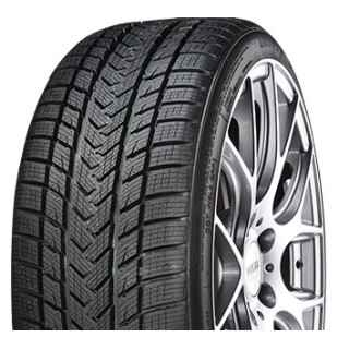 Gripmax Suregrip Pro Winter (Ratlankio apsauga) 245/40R20 99V XL 2025 