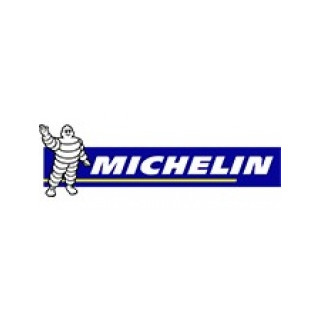 MICHELIN 275/35R20 E Primacy 102 Y XL *MO (A B B 72dB)