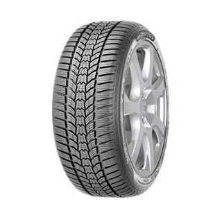 Sava Eskimo HP 2 2024-2025 225/45R17 91H