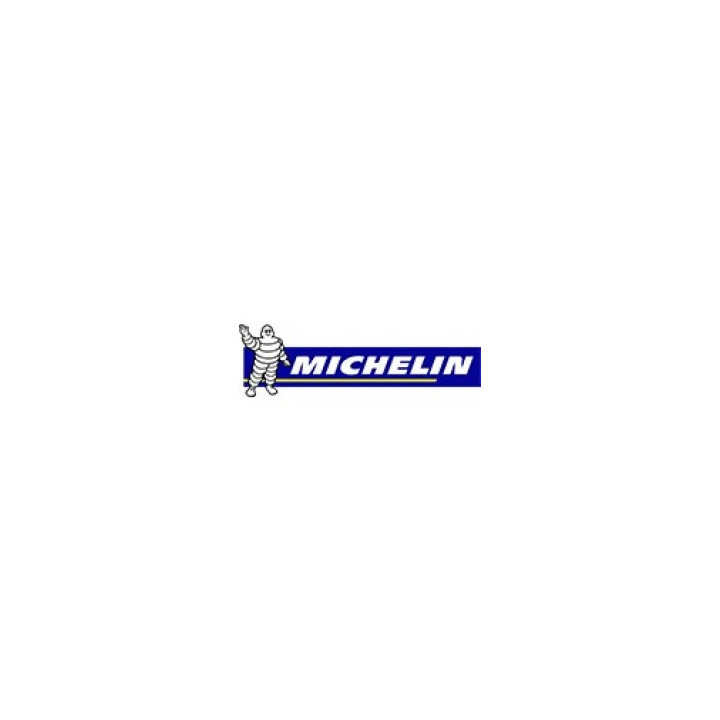 MICHELIN 215/65R17 X-Ice XI3 99 T ( C F 71dB )