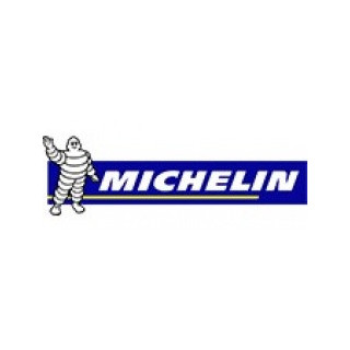 MICHELIN 190/50R17 Power GP R 73 W