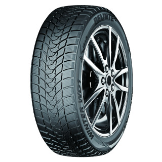 DELINTE 245/50R18 DELINTE WINTER WD1 100H