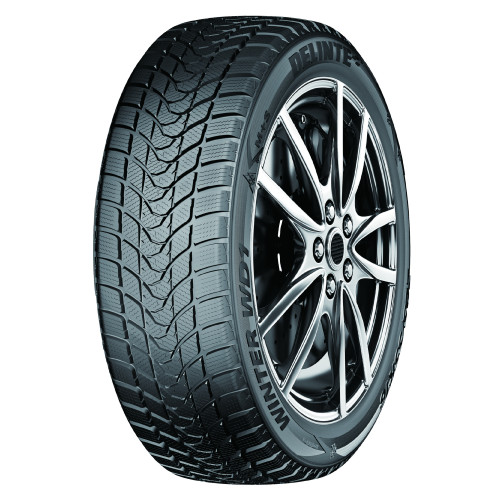DELINTE 245/50R18 DELINTE WINTER WD1 100H