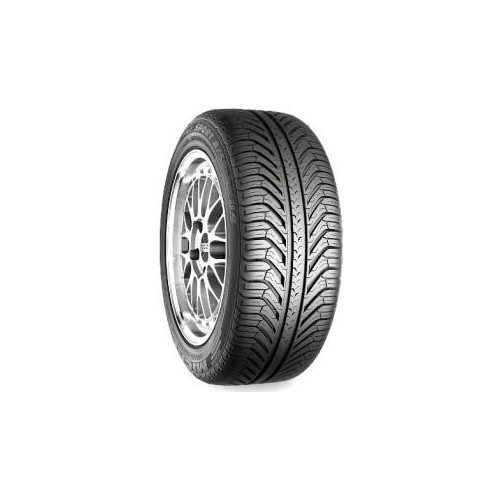 Michelin PILOT SPORT A/S PLUS XL 2013-2014 295/35R20 105V