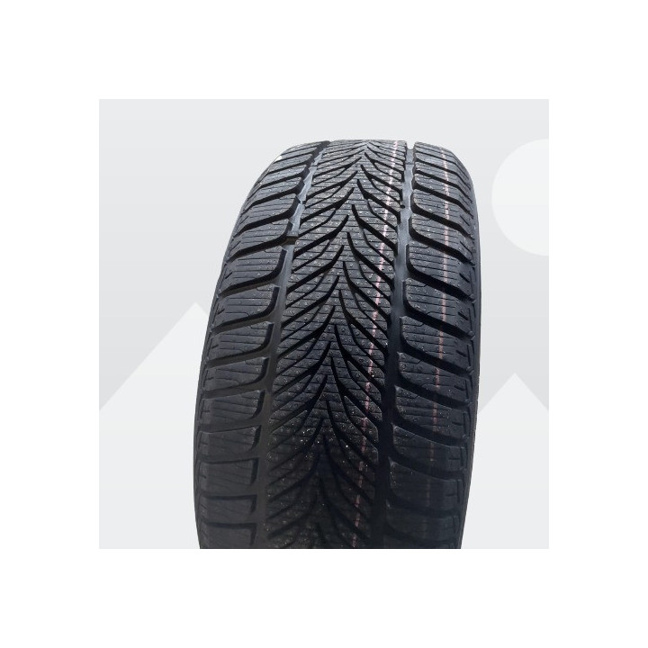 DIPLOMAT 225/45R17 DIPLOMAT WINTER HP XL FP 94V