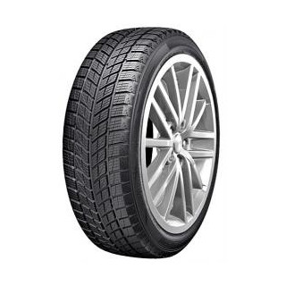 Autogreen IceCruiser AW01 Dygliuojamos 205/55R16 91T