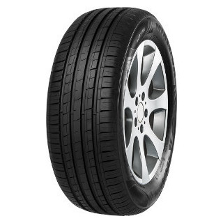 MINERVA F209 205/65R16 95H