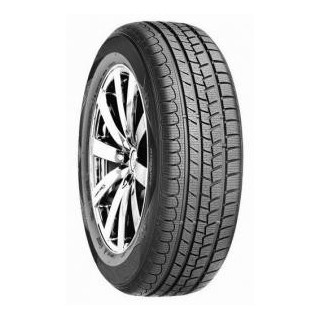 Roadstone Eurovis Alpine 2 2025 205/60R16 92H