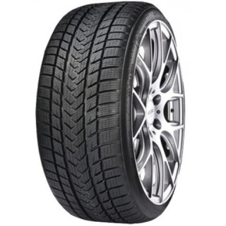 GRIPMAX PRO WINTER XL 205/40R17 84V