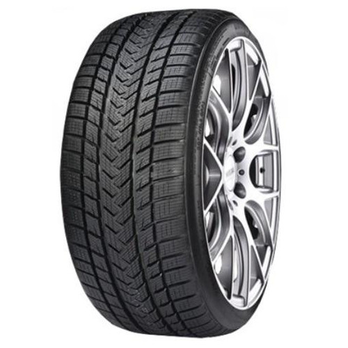 GRIPMAX PRO WINTER XL 205/40R17 84V