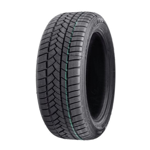 PROFIL Pro Snow 790 205/55R16 91H