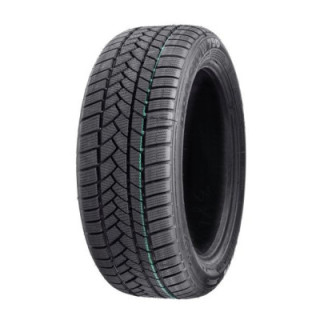 PROFIL PRO SNOW 790  RUN FLAT 205/55R16 91H