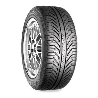 Michelin PILOT SPORT A/S PLUS XL 2013-2014 295/35R20 105V