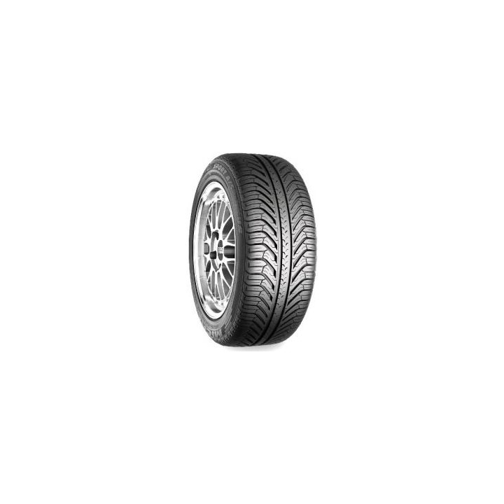 Michelin PILOT SPORT A/S PLUS XL 2013-2014 295/35R20 105V