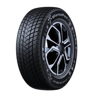 GT-RADIAL Winterpro 2 (evo) 205/55R16 91H