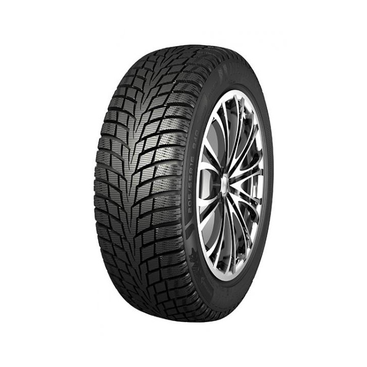 225/45R17 NANKANG ICE-1 94Q XL   