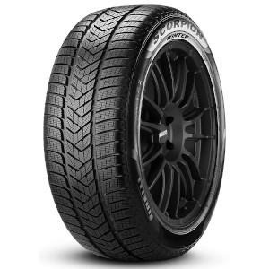 PIRELLI Scorpion Winter
