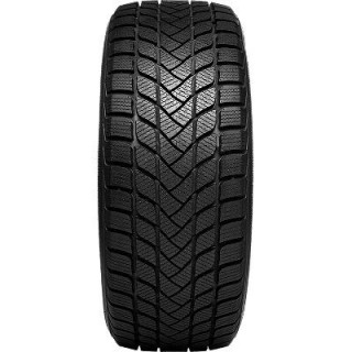 DELINTE WINTER WD6 BSW