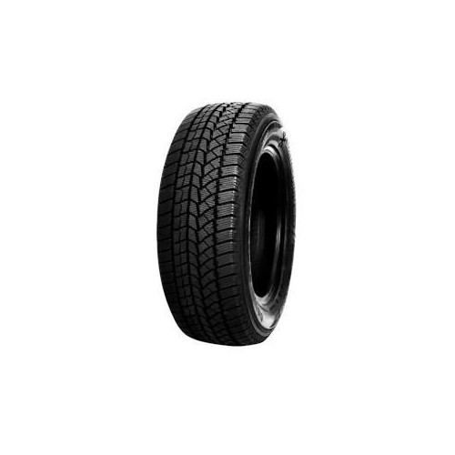 DOUBLE STAR WINTERKING DW02 215/50R17 91T