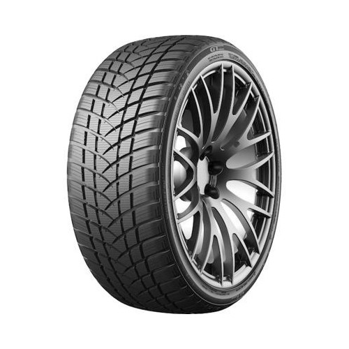 GT-RADIAL Winterpro2sport 225/50R17 98V