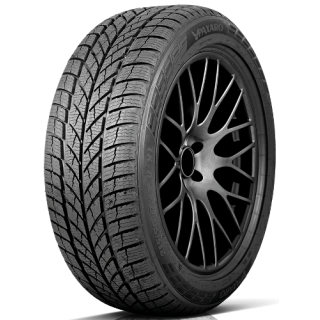 PAXARO 225/65R17 INVERNO SUV 106H XL FR