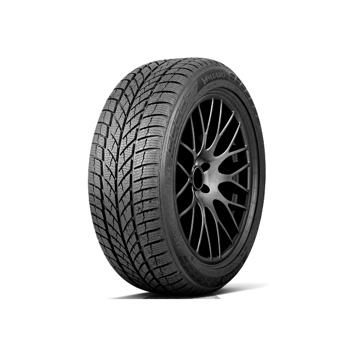 PAXARO 225/65R17 INVERNO SUV 106H XL FR