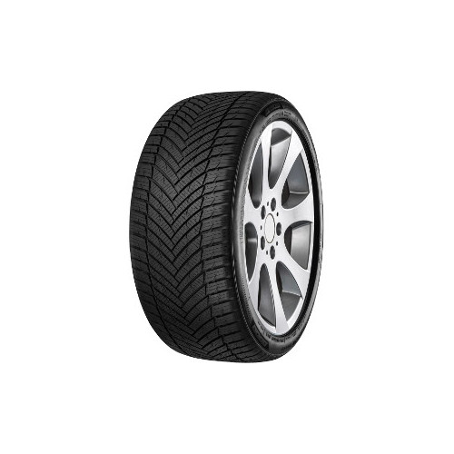 MINERVA AS MASTER XL 205/45R17 88W