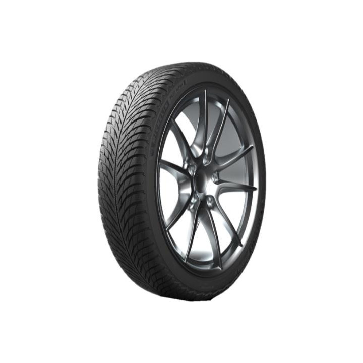 MICHELIN PILOT ALPIN 5 XL 255/40R19 100V