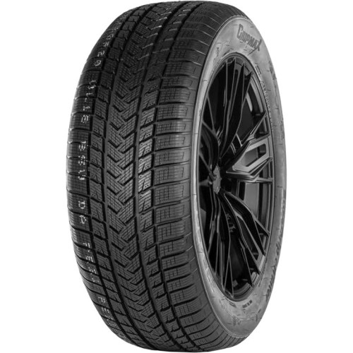 205/65R17 GRIPMAX SUREGRIP EWINTER 100V XL    