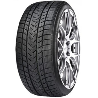 GRIPMAX PRO WINTER XL 255/40R19 100V