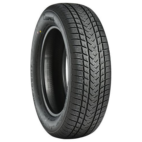 GRIPMAX SUREGRIP eWINTER XL 205/55R17 95V