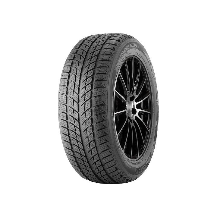 DOUBLESTAR 275/45R20 DOUBLESTAR DW09 110H XL FR