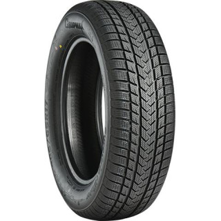 GRIPMAX SUREGRIP eWINTER XL 205/40R17 84V