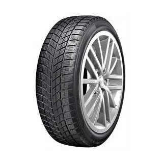 Doublestar DW09 2022 235/50R19 99H