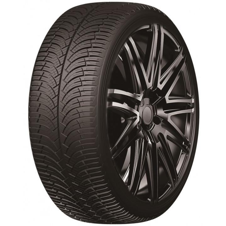 FRONWAY FRONWING AS 205/55R16 91H 2024 Ratlankio Apsauga