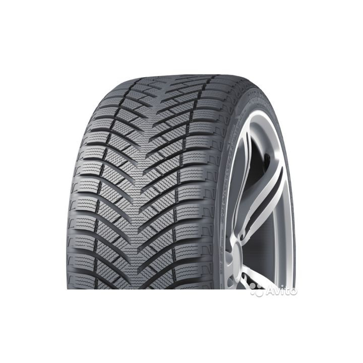 Duraturn Mozzo Winter 205/55R16 94V XL 2024