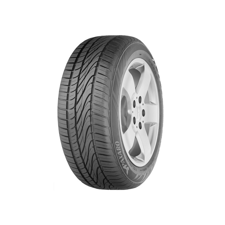 PAXARO 245/45R18 SUMMER PERFORMANCE 100V XL FR