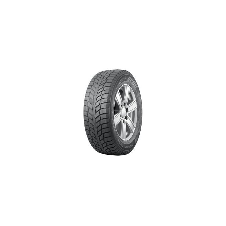 DELINTE 245/50R18 DELINTE WINTER WD1 100H