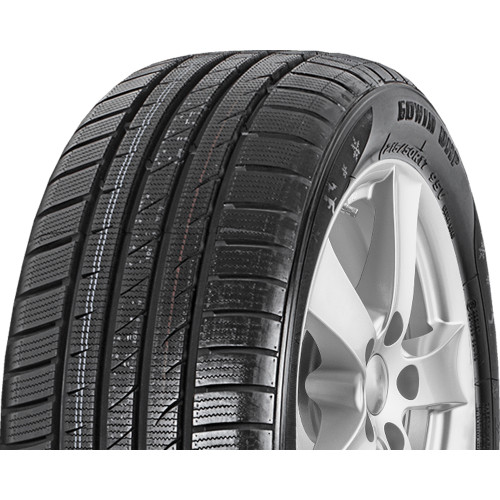 Fortuna GOwin UHP (Ratlankio apsauga) 205/55R17 95V XL 2025