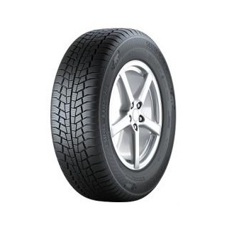 Gislaved Euro Frost 6 225/45R17 91H